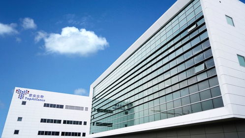 2019上海區(qū)域經(jīng)濟(jì)觀(guān)察 新舊動(dòng)能轉(zhuǎn)換關(guān)鍵期,新興產(chǎn)業(yè)步入 起飛通道